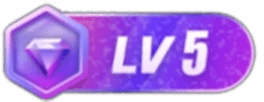 LV5 等级-LV5-花语小站