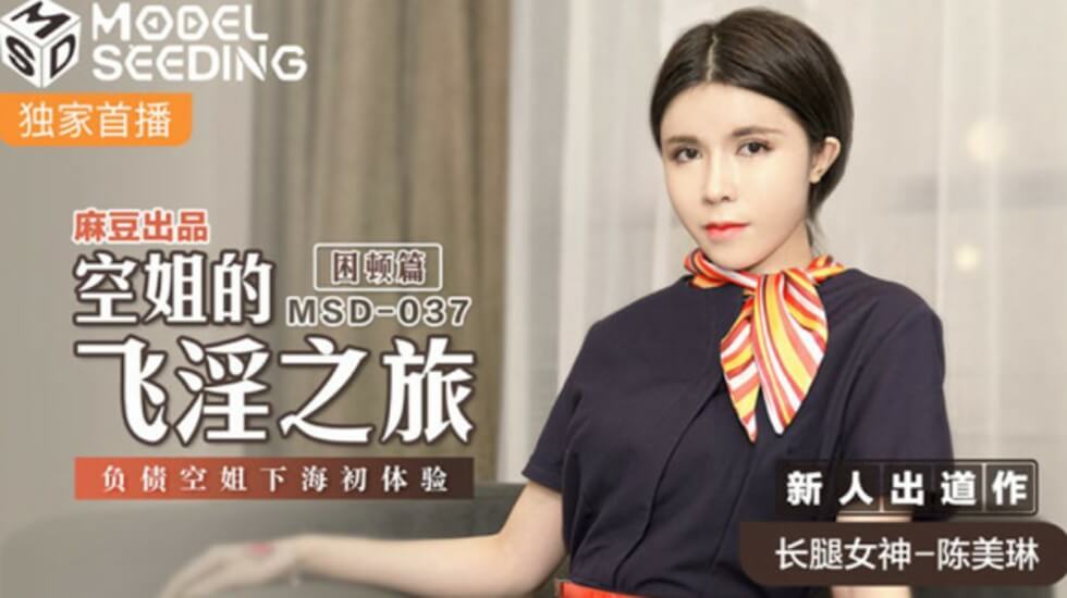 麻豆-空姐的飞淫之旅负债空姐下海初体验-陈美琳-花语小站