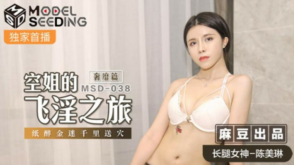 麻豆-空姐的飞淫之旅奢靡篇纸醉金迷千里送穴-陈美琳-花语小站