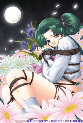 月花美人-花语小站