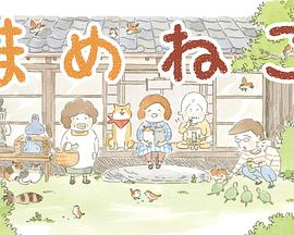 豆豆猫-花语小站