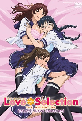 Love Selection-花语小站